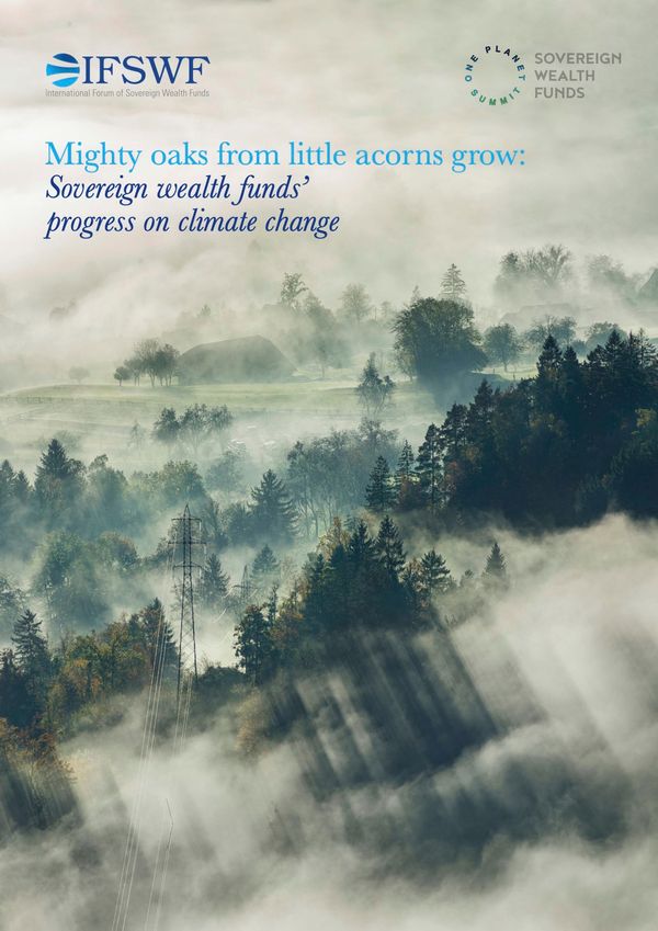 Mighty Oaks from Little Acorns Grow: Sovereign Wealth Funds’ Progress on Climate Change